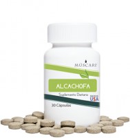 ALCACHOFA